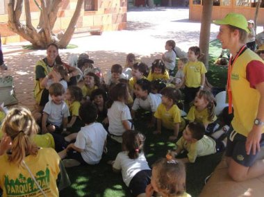 Summer Childcare Questions