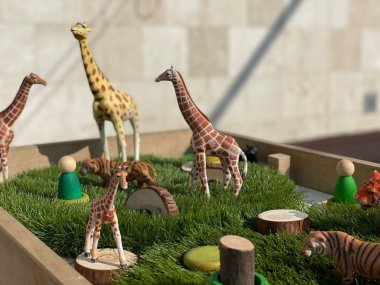 Summer Childcare Questions