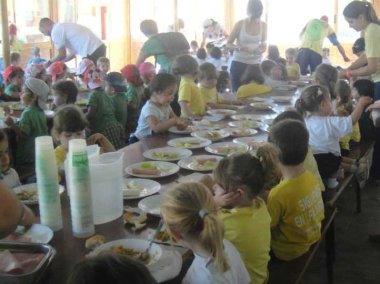 Summer Childcare Questions